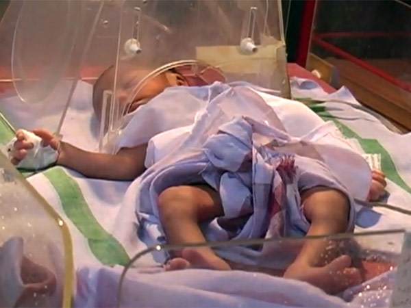 ஐ.நா. அமைப்பு