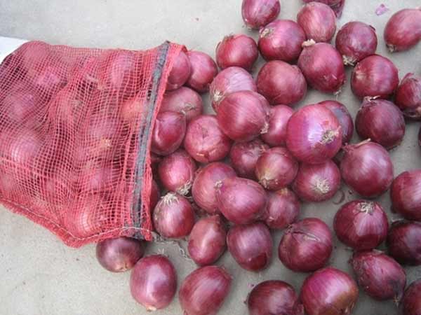 வெளிநாட்டு வெங்காயம்