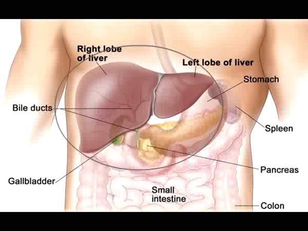 கல்லீரல் புற்று நோய்