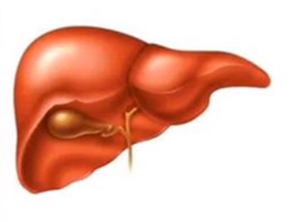 கல்லீரலுக்கு நன்மை