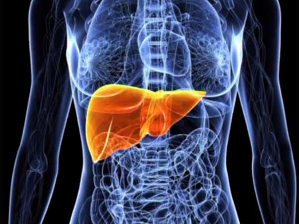 ஈரல் நோய்