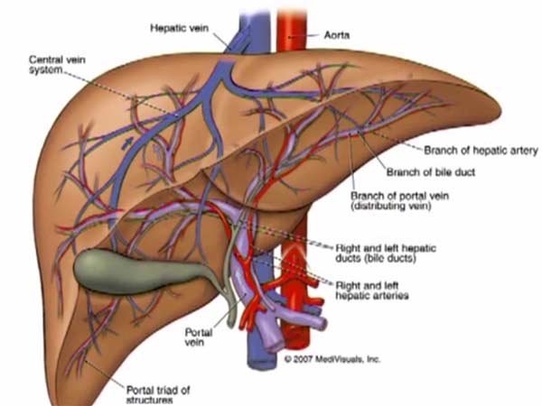 16 ஆய்வுகள்