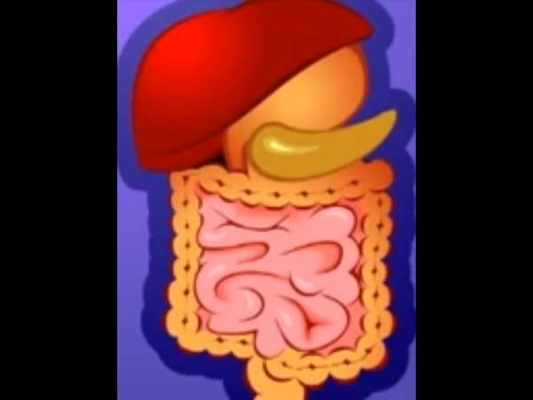 செரிமான நோய்கள்