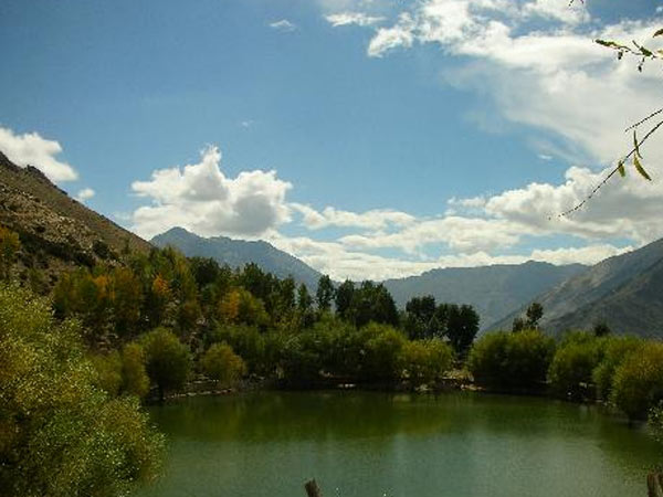 அரசுக்குத் தாக்கல்