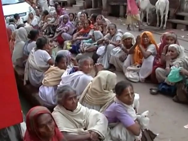 விருந்தாவன் கோவில்களில் அடைக்கலம்