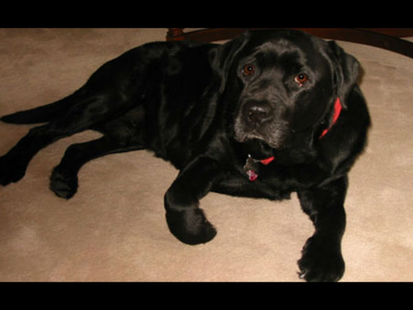 உணர்வுகளை மதியுங்கள்...