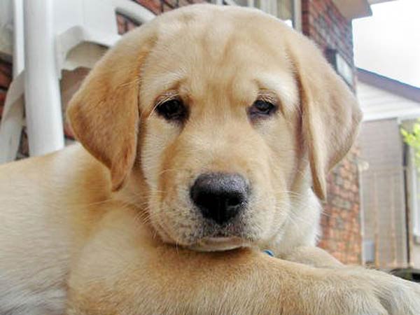 செயற்கைச் சத்தம்....