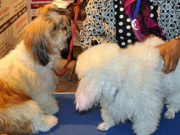 சுத்தி..சுத்தி வாங்க