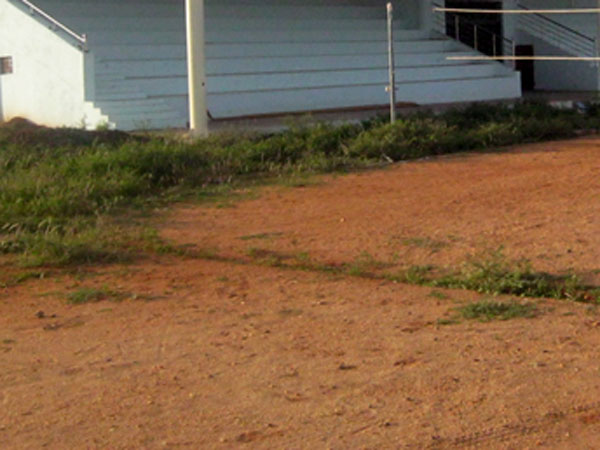 மைதானங்கள்..