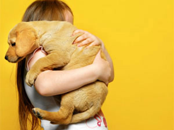 நாய்களை புரிந்து கொள்ளலாம்