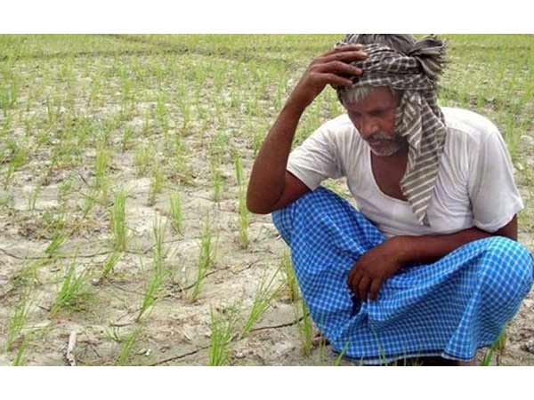 குறைந்து போன விவசாயம்