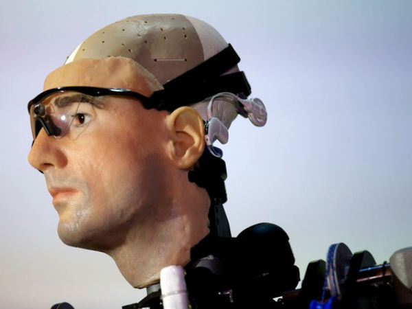 மூளை இல்லை....