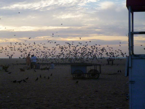 மெரினாவின் அழகு