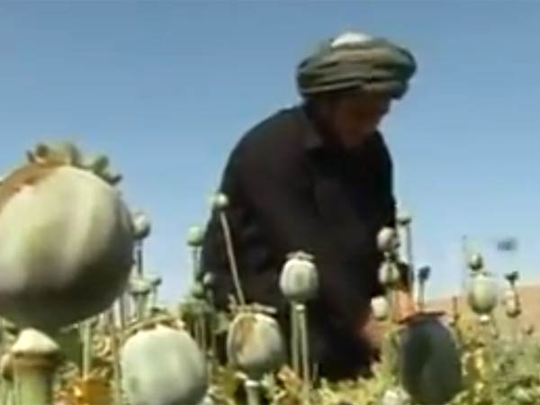 அதிகரிக்கும் குழப்பம்...