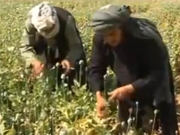 தேவைக்கு அதிகமாக...