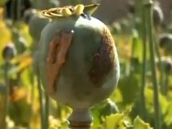 பாதுகாப்பின்மை...