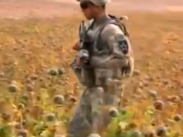 தாலிபன் பகுதி...