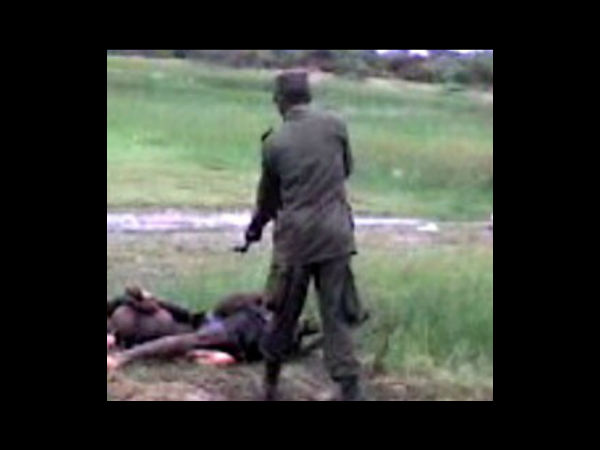 அமைதி தவழ்கிறது