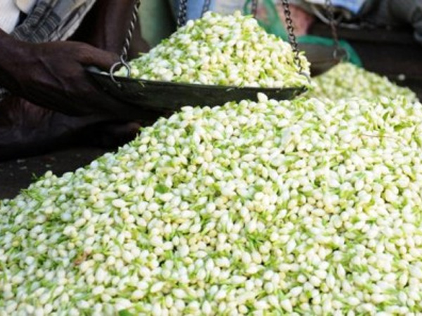 மல்லிகை வீழ்ச்சி
