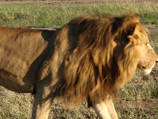 அதிர்ச்சி...