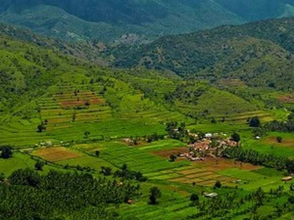 பொன்விளையும் பூமி