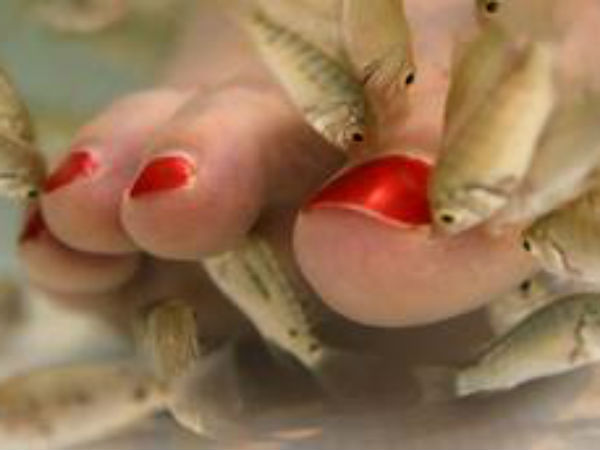 மீன் மசாஜ் மீன் மசாஜ்