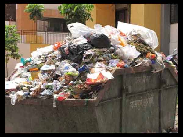 செப்டிக் டேங்க்தான் இவற்றின் கோட்டை