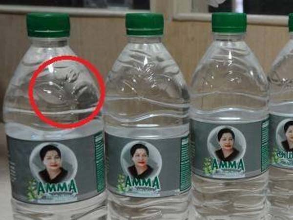 நல்லாப் பாருங்க.. அது நான்கு இலை நல்லாப் பாருங்க.. அது நான்கு இலை