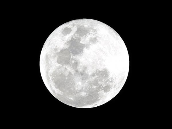 தாவர வளர்ப்பின் மூலம்....