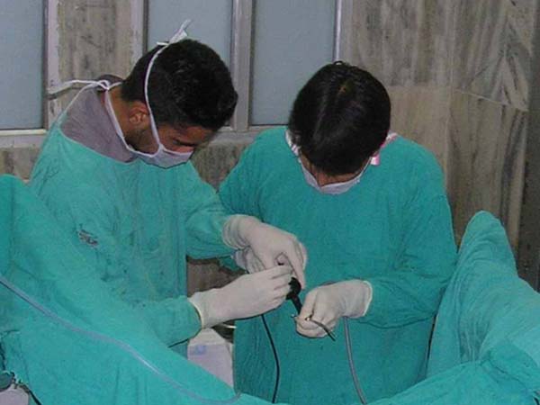 நோய் பாதிப்பு