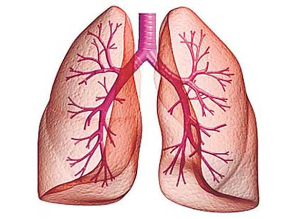புதிய முன்னேற்றம்....
