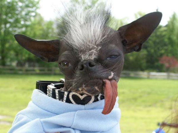 வித்தியாசமான முகம்...