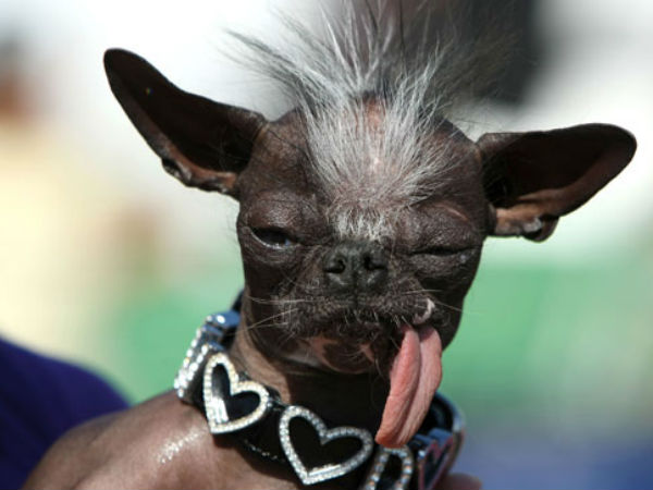 ரசிகர் பட்டாளம்....