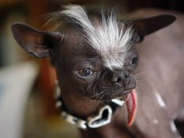 திடீர் மரணம்....