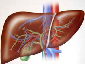 Trichy Girl's Organ Saves Bangalore Boy Trichy Girl's Organ Saves Bangalore Boy