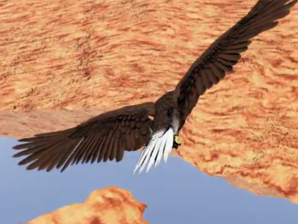 வீடியோகிராபர்...