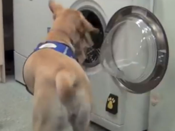 தன்னிச்சையானது....