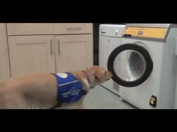 ஊப் டூ வாஷ்....