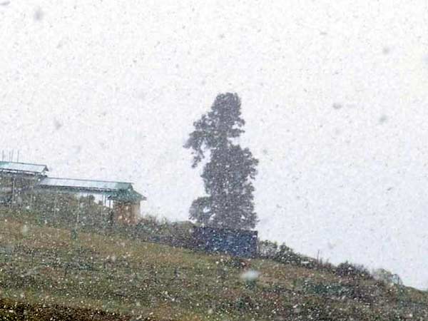 கடும் பனிப்பொழிவு