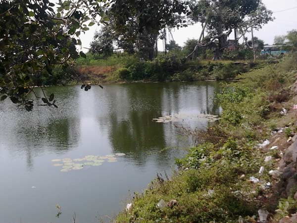 நிலத்தடி நீர்மட்டம்