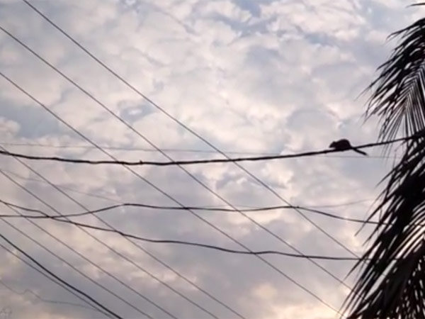 மத்திய அரசு தாமதம்....