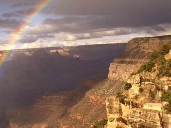 பணத்திற்கு மட்டும்....