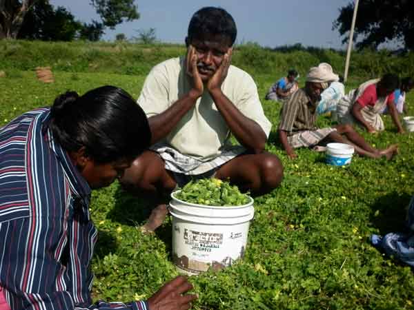 வரதராஜன் கூறுவது என்ன...