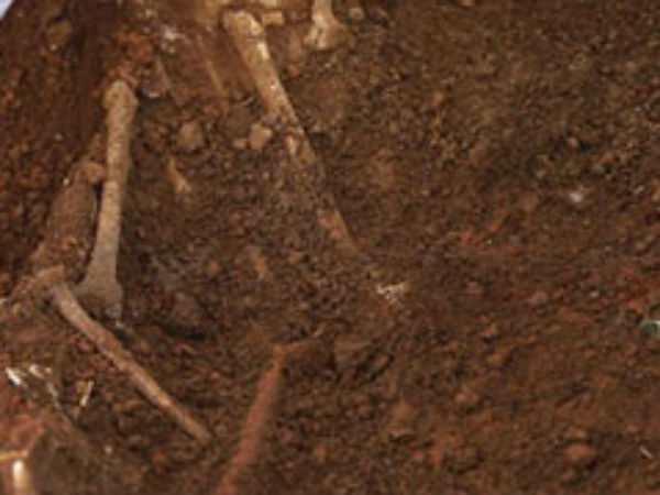 மிகப் பெரிய சவக்குழியாக இருக்கலாம்