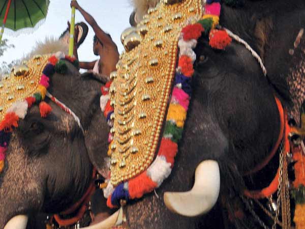 புதுவையிலிருந்து லட்சுமி