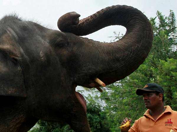 புண்ணோடு வந்து புன்முறுவலோடு உற்சாகம்