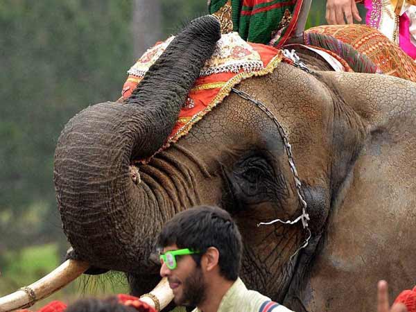 குதியாட்டம்.. ஜாலி விளையாட்டு