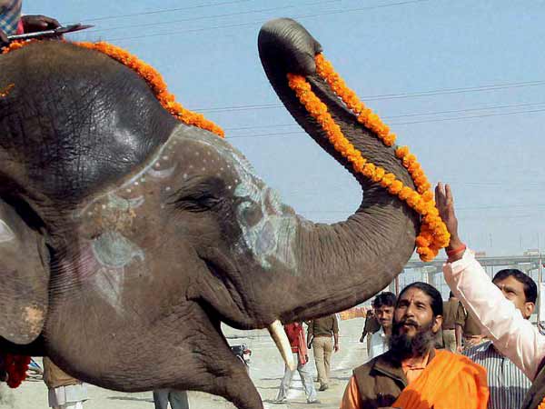 சிறப்பு பூஜையுடன்