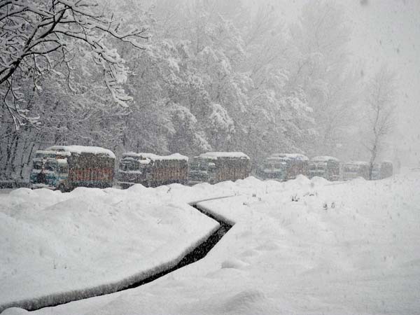 பலி எண்ணிக்கை....