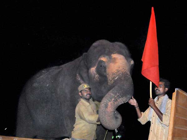 முன்னெச்சரிக்கை நடவடிக்கை...